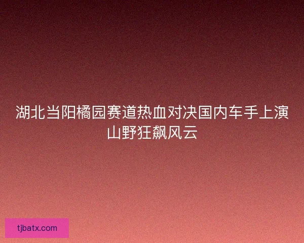 湖北当阳橘园赛道热血对决国内车手上演山野狂飙风云 湖北当阳橘园赛道热血对决国内车手上演山野狂飙风云