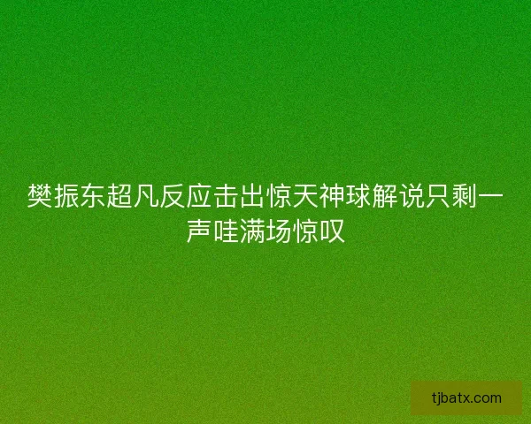 樊振东超凡反应击出惊天神球解说只剩一声哇满场惊叹
