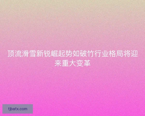 顶流滑雪新锐崛起势如破竹行业格局将迎来重大变革