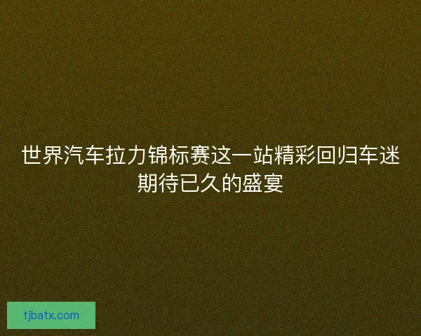 世界汽车拉力锦标赛这一站精彩回归车迷期待已久的盛宴
