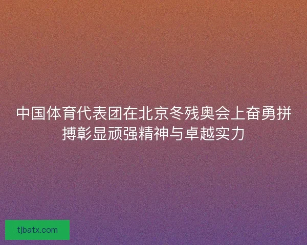 中国体育代表团在北京冬残奥会上奋勇拼搏彰显顽强精神与卓越实力