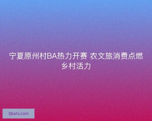 宁夏原州村BA热力开赛 农文旅消费点燃乡村活力 宁夏原州村BA热力开赛 农文旅消费点燃乡村活力